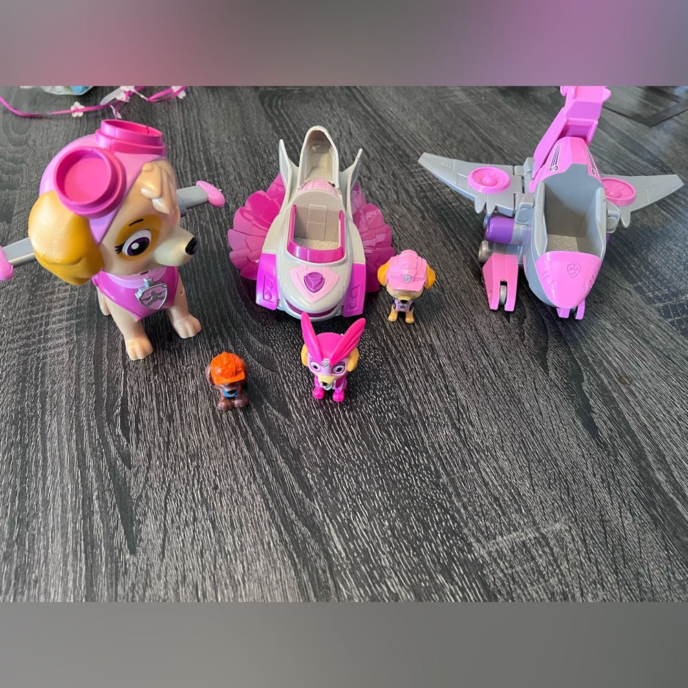 Paw Patrol Sky